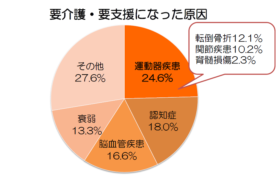 要介護・要支援になった原因 運動器疾患24.6%(転倒骨折12.1% 関節疾患10.2% 脊髄損傷2.3% 認知症18.0% 脳血管疾患16.6% 衰弱 13.3% その他27.6%