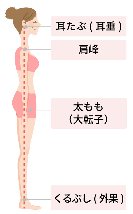 みみたぶ（耳垂）　肩峰　太もも（大転子）　くるぶし（外果）